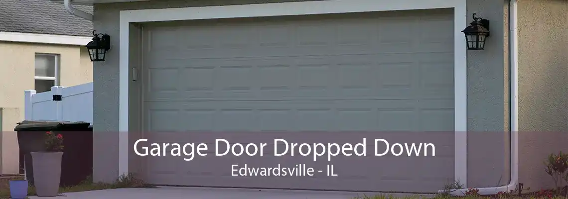 Garage Door Dropped Down Edwardsville - IL