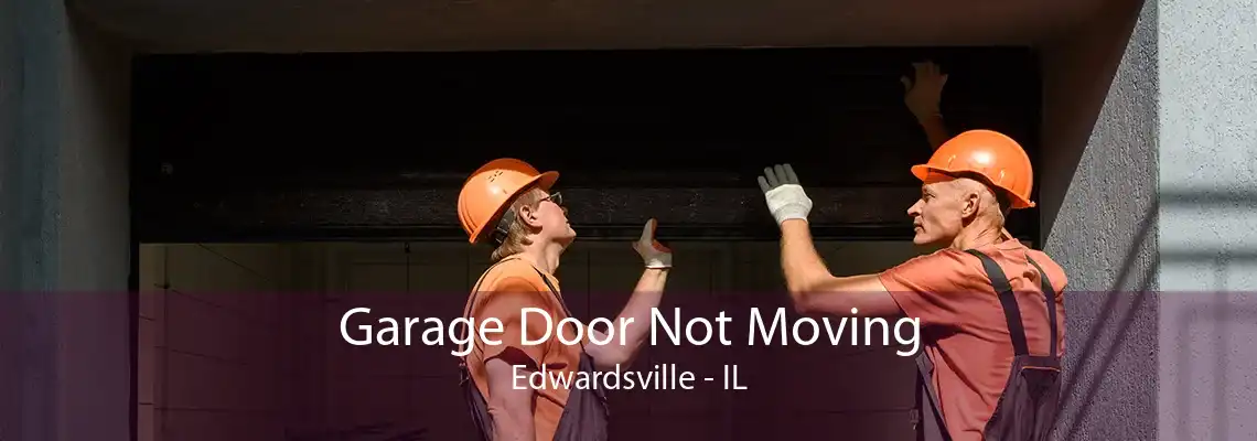 Garage Door Not Moving Edwardsville - IL